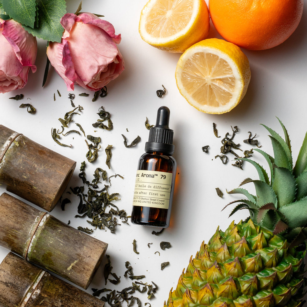 The Grand Archive: 12-Piece Master Collection
